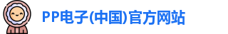 PP电子